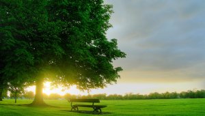 Önkéntes munkában újult meg egy Etele úti park